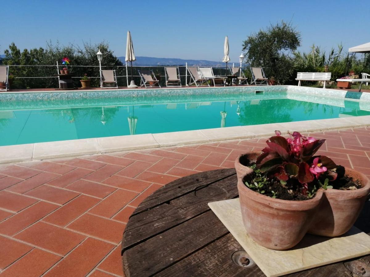 Agriturismo Montemari Villa Palaia Bagian luar foto